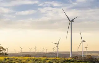 Photograph of multiple wind turbines scattered across a rural landscape in Australia, with a golden sunrise illuminating the sky and fields.